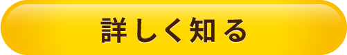 詳しく知る
